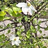 夫がずっと仕事を休んで家にいる、こんな老後は嫌だ
