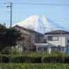 初冬のウオーキングは 冠雪の富士を見ながら