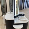トイレでの微妙な戦い★過剰な衛生意識・・・ヒメシャクナゲ