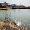 にごり池（滋賀県湖南）