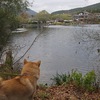 湯布院旅行その３