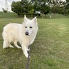 夕暮れの公園散歩と収穫の喜び
