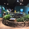【旅行編】小旅行・ニューポート水族館 / Excursion to Newport Aquarium
