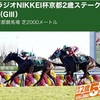 【11/23(土) ハルの競馬予想】