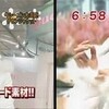 ひそかにid:tk109さんがUSB爆発コメントに「…うそです(・∀・)」でしめてくれないかと期待していたりして…(*´д`)