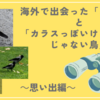 海外で出会った「カラス」と「カラスっぽいけどカラスじゃない鳥」　～思い出編～