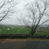 雨水