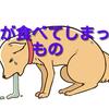 犬が食べてしまったもの