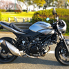 祝鈴菌感染(SV650X)