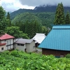 禁断の用心棒