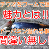 【太刀魚】タチウオをワームで狙う魅力とは何かっ‼ ＠餌釣りとの違いをご説明します