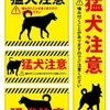 猛犬注意ならぬ狼犬、、、