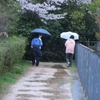 雨の名は？