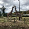 こども動物自然公園再訪