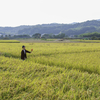 新しい展示のお知らせ　小野淳也写真展「深く眠る前に」