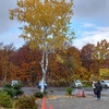 東北三県へ紅葉旅（3）八甲田山・中野もみじ山・松川渓谷