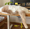 おつかれさまです