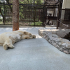 【とべ動物園】入園料が格安　癒してくれるたくさんの動物たち