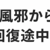 夏風邪からの回復途中。出社はなかなかきつい💦