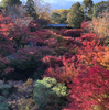 かーちゃんのお散歩（京都）序