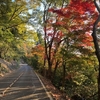 さざれ石公園伊吹山中腹往復(39km)、健康診断準備、河野裕子「どこでもないところで」読了