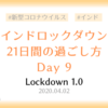 【ロックダウン記録】ロックダウン9日目 ～ねこちゃんとおじさんに癒された日～