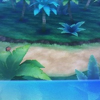 ポケモンウルトラサンムーン ワカヅタケトンネルを抜け8番道路を攻略してみた 攻略日記 くろねこの暇つぶしブログ