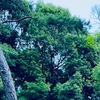 ７月４日