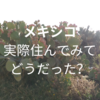 【メキシコ】やばいんじゃないかと心配していたこと10選＆実際の感想