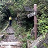 台風の爪あと残る棒ノ折山を登ってきた！