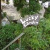 激旨！  ランチセット!!  Lucky Garden＠奈良県生駒市