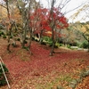 寺家公園でもみじ狩り