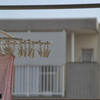 第一章：提出しなかった一枚