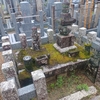 2026　7/5の拝観報告4（妙心寺 智勝院　斎藤利三墓）