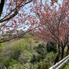 ロケハン&ウォーキング！倶利迦羅古戦場・不動寺 その1