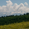 緑の取立山