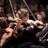 音楽好きの耳の守り方について
