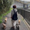 2026年4月7日🐾 今日のマヤ暦