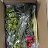 新鮮な旬のお野菜セット