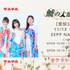 TEAM SHACHI 「鯱の大感謝祭」Zepp Nagoya 〜 カバーの情感、新曲の新境地