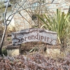 cafe serendipity