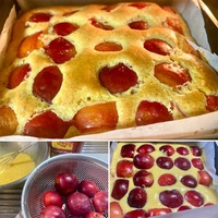 スモモもモモももものうちだしすもものケーキ