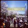 ARABAKI ROCK FEST.2012のお話