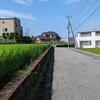 朝からいい天気でとてもいい気持で過ごせた水曜日