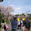 【桜】皇居の乾通り一般公開に行ってきた！【2018】