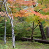 Tues.　旭川ダム公園