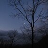 今朝の月