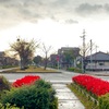 11/24 金曜日　曇り時々雨　夜冷えた日