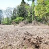 松代町立桐山小学校・松代町立桐山中学校