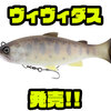【ジャッカル】高浮力スイムベイト「ヴィヴィダス」発売！